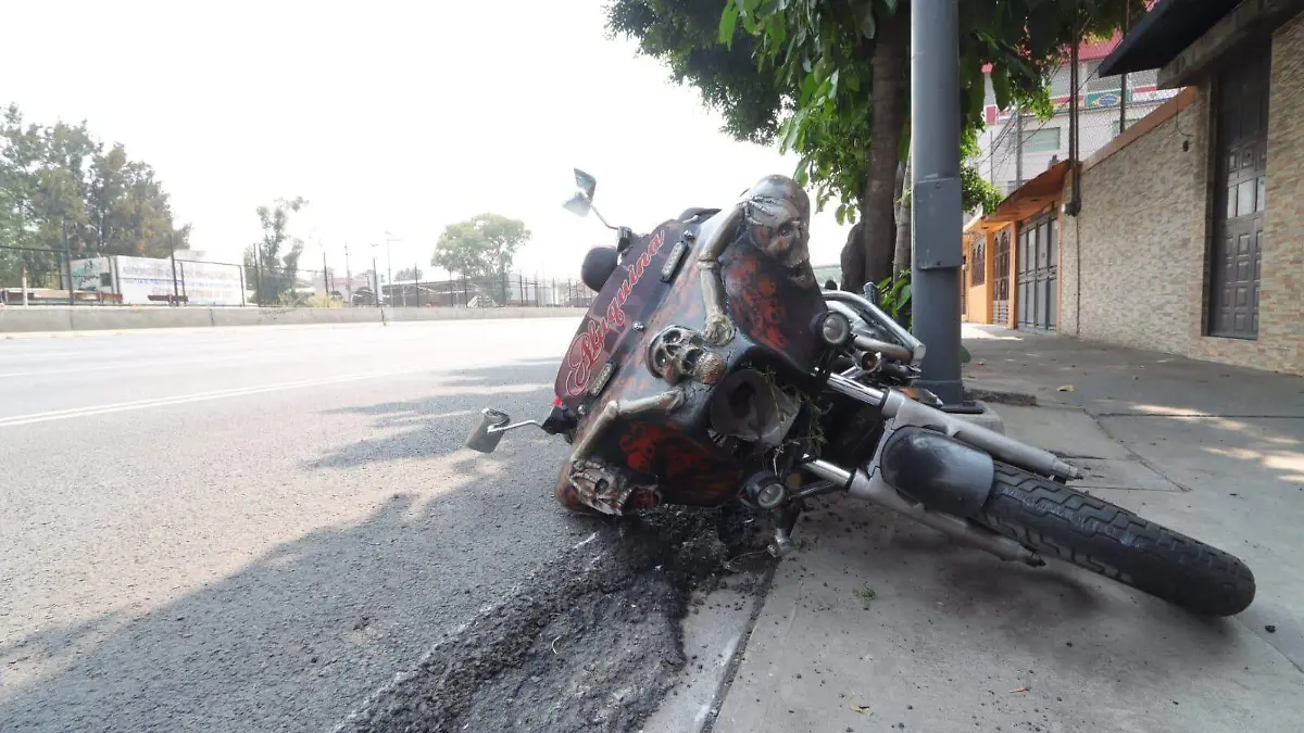 Moto muerto en Aragón  (3)